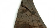 podeszwa buta - średniowiecze, skóra archeologiczna, strona licowa [po lewej stan przed konserwacją, po prawej stan po konserwacji]